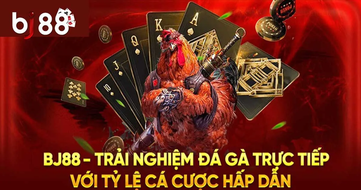 Giới thiệu đ&ocirc;i n&eacute;t về sảnh đ&aacute; g&agrave; BJ88
