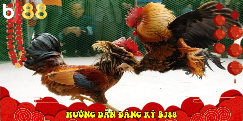 BJ88.COM - Link Vào Trang Chủ Nhà Cái Chính Thức 2026 36 Hướng dẫn đăng ký BJ88